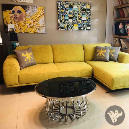 Golden Shahbaz cushion